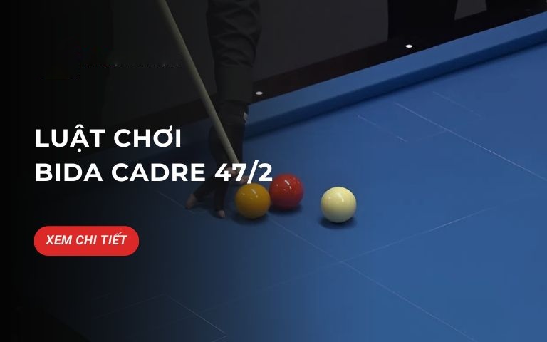 BIDA CADRE 47/2 là gì